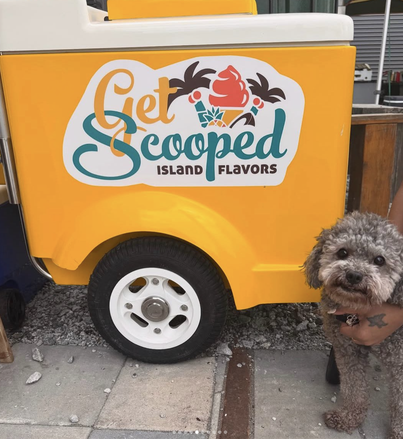 Get Scooped Island Flavors catering cart and event setup